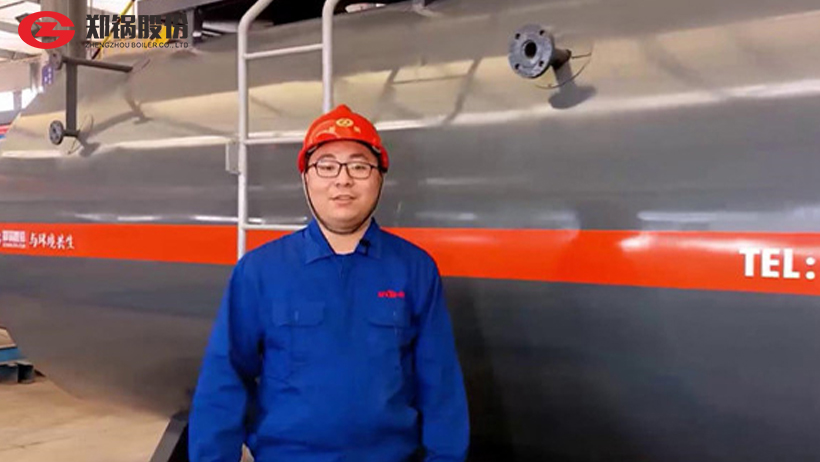 来利国际w66WNS燃气锅炉解说
