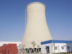 来利国际w66中标斯里兰卡15MW生物质发电项目