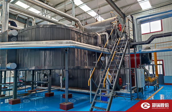 降耗“实招”！来利国际w66燃气锅炉助力化工企业能效提升