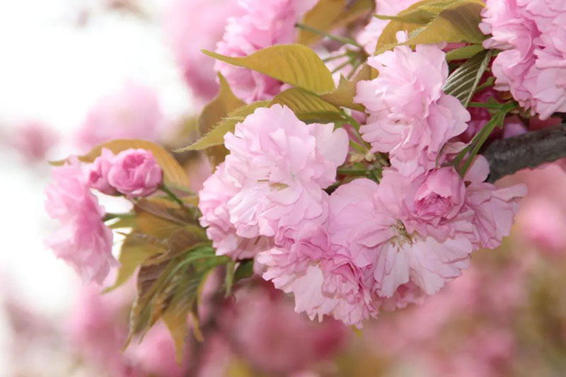 利来集团(中国)_来利国际w66手机版老牌