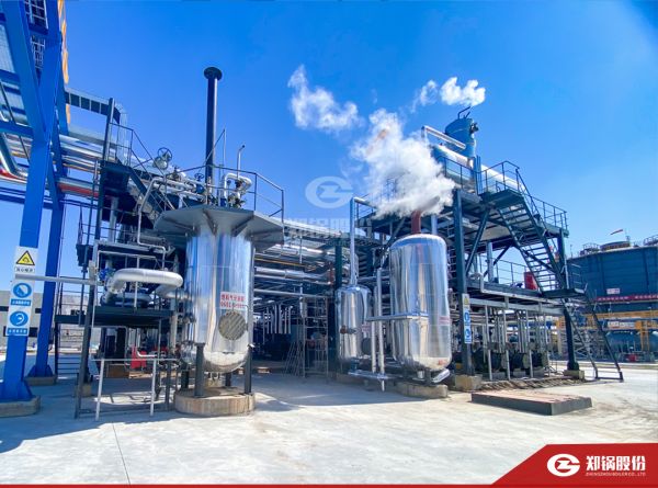 来利国际w66携手负极质料“一哥”打造SZS型低氮燃气锅炉树模项目