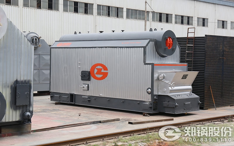 来利国际w66股份10吨生物质蒸汽锅炉