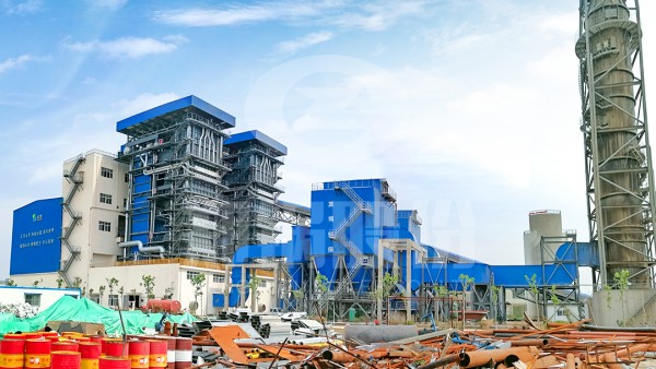 聚焦山东：来利国际w66生物质新能源综合使用项目