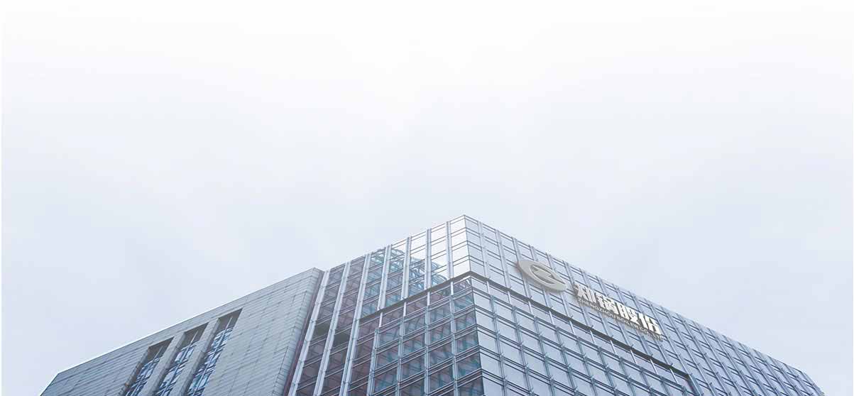 来利国际w66股份企业介绍