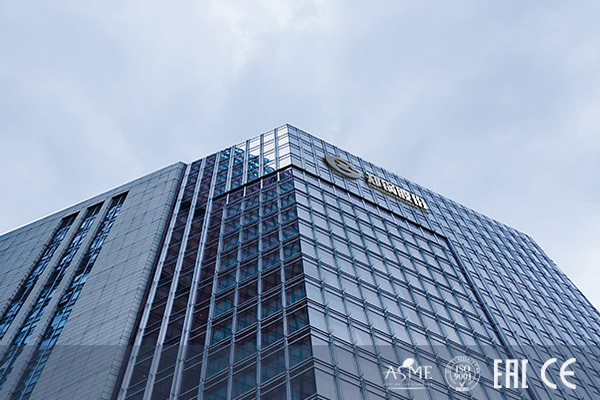 来利国际w66链条炉排锅炉