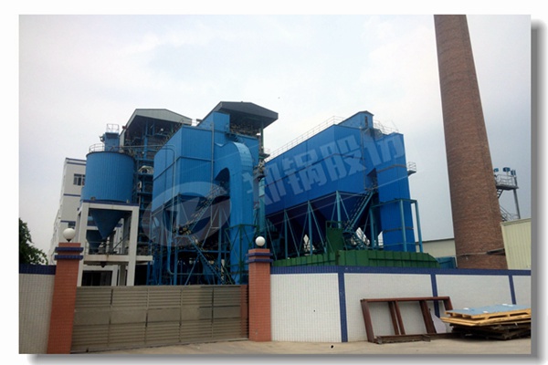 酒精蒸馏器用自然气燃料蒸汽锅炉