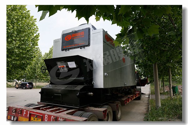 旅馆用单桶生物质蒸汽锅炉