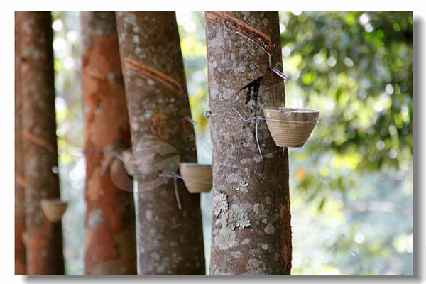 10吨燃煤蒸汽工业锅炉价钱