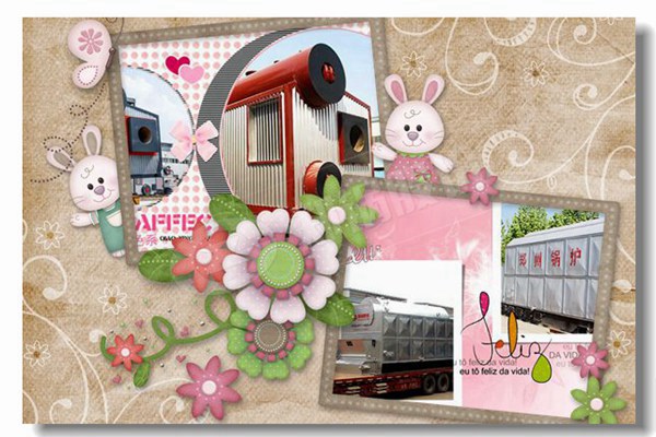 自然气锅炉钻石的价钱