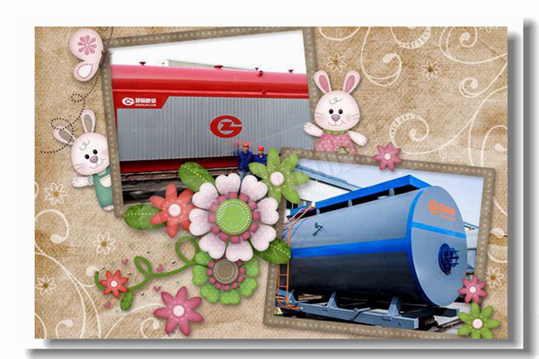 食物厂百吨热水锅炉