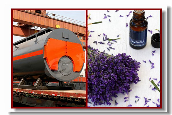 燃气锅炉价钱燃气锅炉替换都柏林